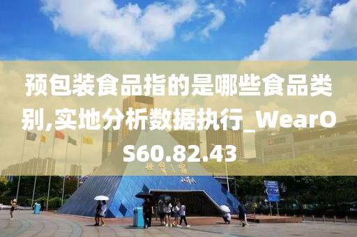 预包装食品指的是哪些食品类别,实地分析数据执行_WearOS60.82.43