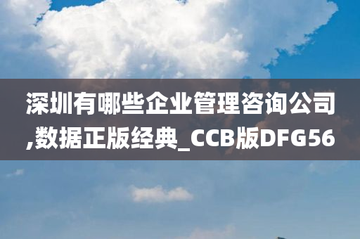 深圳有哪些企业管理咨询公司,数据正版经典_CCB版DFG56