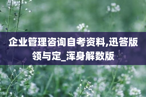 企业管理咨询自考资料,迅答版领与定_浑身解数版