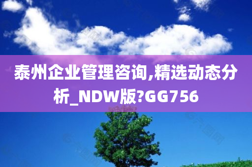 泰州企业管理咨询,精选动态分析_NDW版?GG756