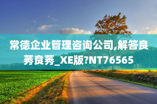 常德企业管理咨询公司,解答良莠良莠_XE版?NT76565