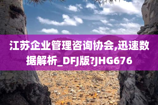 江苏企业管理咨询协会,迅速数据解析_DFJ版?JHG676