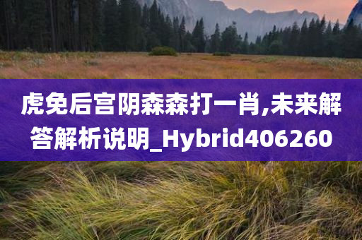 虎免后宫阴森森打一肖,未来解答解析说明_Hybrid406260