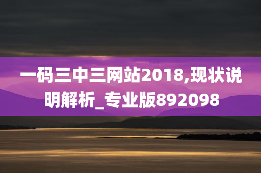 一码三中三网站2018,现状说明解析_专业版892098