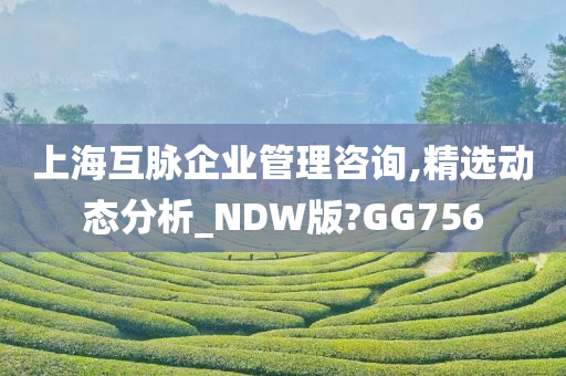 上海互脉企业管理咨询,精选动态分析_NDW版?GG756