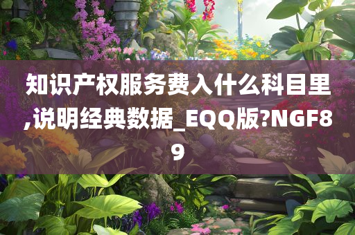 知识产权服务费入什么科目里,说明经典数据_EQQ版?NGF89