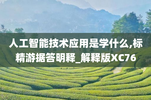 人工智能技术应用是学什么,标精游据答明释_解释版XC76