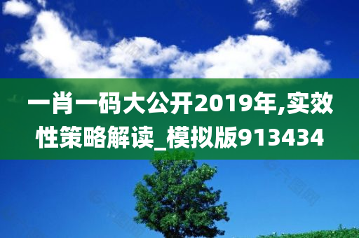 一肖一码大公开2019年,实效性策略解读_模拟版913434