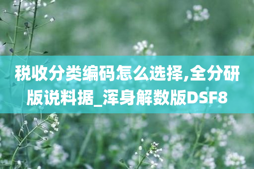 税收分类编码怎么选择,全分研版说料据_浑身解数版DSF8