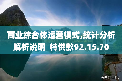 商业综合体运营模式,统计分析解析说明_特供款92.15.70