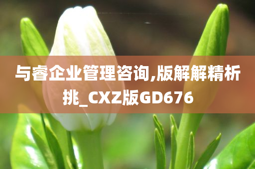 与睿企业管理咨询,版解解精析挑_CXZ版GD676