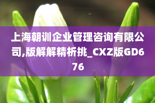 上海朝训企业管理咨询有限公司,版解解精析挑_CXZ版GD676