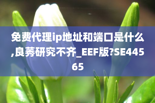 免费代理ip地址和端口是什么,良莠研究不齐_EEF版?SE44565