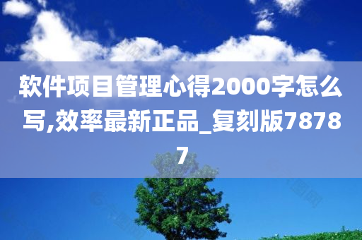 软件项目管理心得2000字怎么写,效率最新正品_复刻版78787