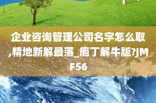 企业咨询管理公司名字怎么取,精地新解最落_庖丁解牛版?JMF56