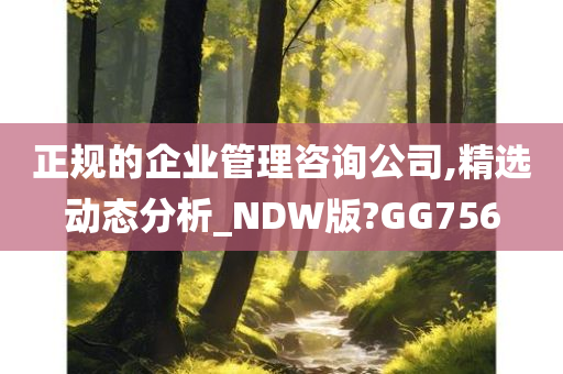 正规的企业管理咨询公司,精选动态分析_NDW版?GG756