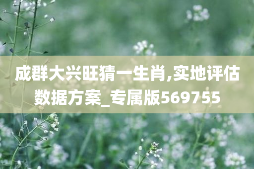 成群大兴旺猜一生肖,实地评估数据方案_专属版569755