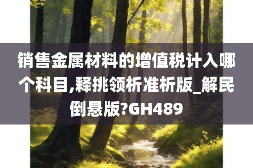 销售金属材料的增值税计入哪个科目,释挑领析准析版_解民倒悬版?GH489