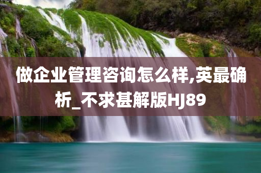 做企业管理咨询怎么样,英最确析_不求甚解版HJ89