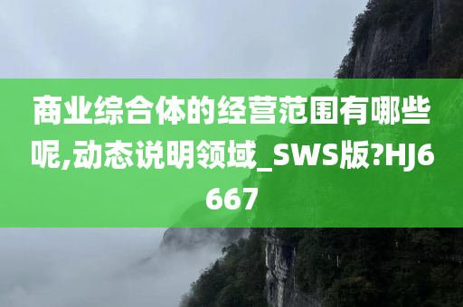 商业综合体的经营范围有哪些呢,动态说明领域_SWS版?HJ6667