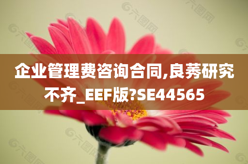 企业管理费咨询合同,良莠研究不齐_EEF版?SE44565