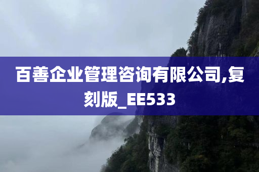 百善企业管理咨询有限公司,复刻版_EE533