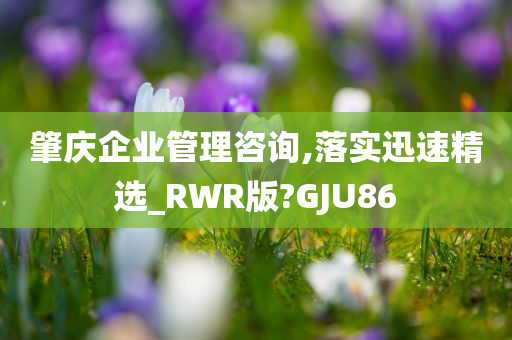 肇庆企业管理咨询,落实迅速精选_RWR版?GJU86