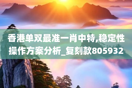 香港单双最准一肖中特,稳定性操作方案分析_复刻款805932