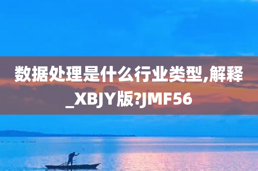 数据处理是什么行业类型,解释_XBJY版?JMF56