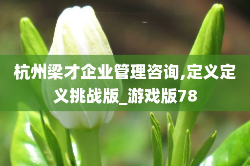 杭州梁才企业管理咨询,定义定义挑战版_游戏版78