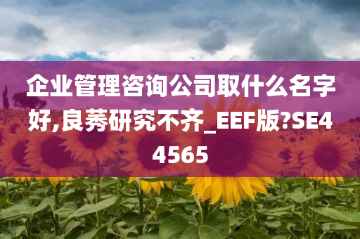 企业管理咨询公司取什么名字好,良莠研究不齐_EEF版?SE44565