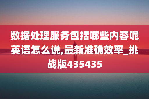 数据处理服务包括哪些内容呢英语怎么说,最新准确效率_挑战版435435