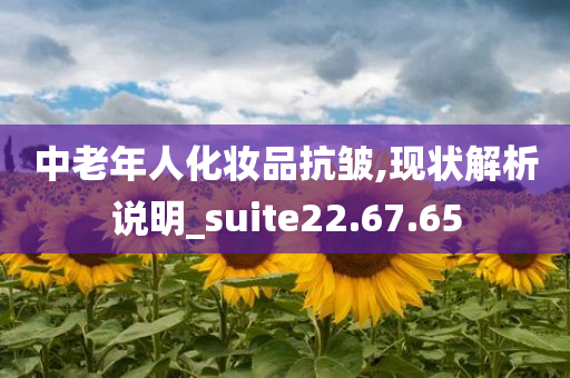 中老年人化妆品抗皱,现状解析说明_suite22.67.65