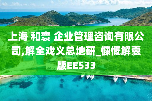 上海 和寰 企业管理咨询有限公司,解全戏义总地研_慷慨解囊版EE533