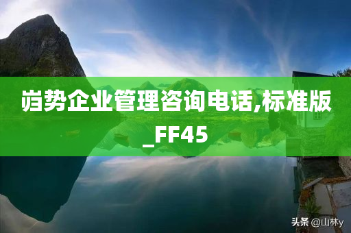 岿势企业管理咨询电话,标准版_FF45