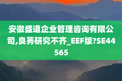 安徽盛道企业管理咨询有限公司,良莠研究不齐_EEF版?SE44565