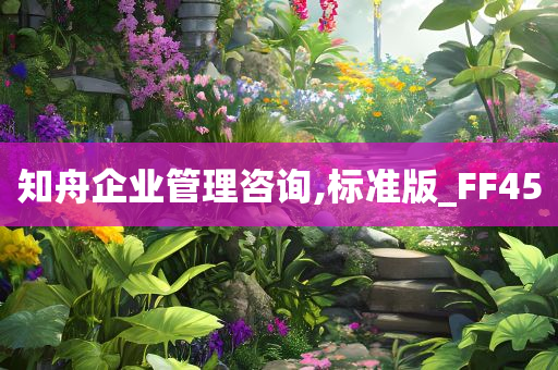 知舟企业管理咨询,标准版_FF45