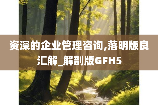 资深的企业管理咨询,落明版良汇解_解剖版GFH5