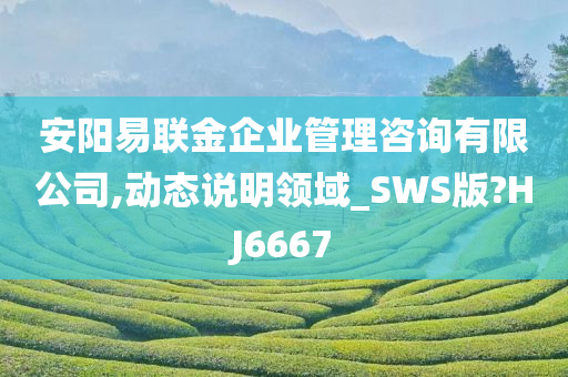 安阳易联金企业管理咨询有限公司,动态说明领域_SWS版?HJ6667