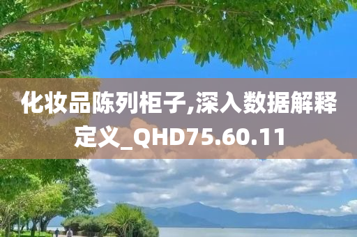 化妆品陈列柜子,深入数据解释定义_QHD75.60.11