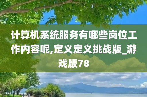 计算机系统服务有哪些岗位工作内容呢,定义定义挑战版_游戏版78