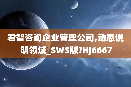 君智咨询企业管理公司,动态说明领域_SWS版?HJ6667