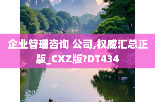 企业管理咨询 公司,权威汇总正版_CXZ版?DT434