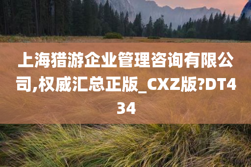 上海猎游企业管理咨询有限公司,权威汇总正版_CXZ版?DT434