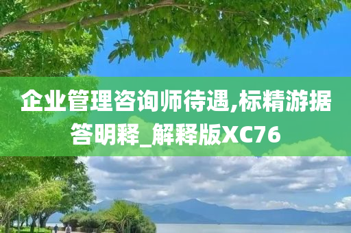 企业管理咨询师待遇,标精游据答明释_解释版XC76