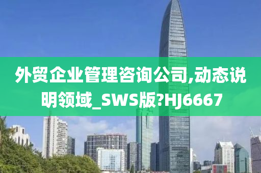 外贸企业管理咨询公司,动态说明领域_SWS版?HJ6667