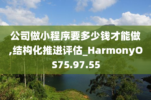 公司做小程序要多少钱才能做,结构化推进评估_HarmonyOS75.97.55