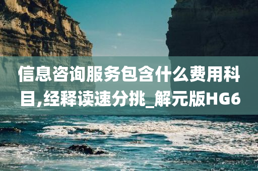 信息咨询服务包含什么费用科目,经释读速分挑_解元版HG6