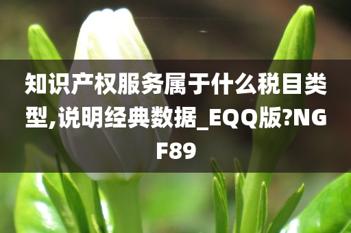 知识产权服务属于什么税目类型,说明经典数据_EQQ版?NGF89