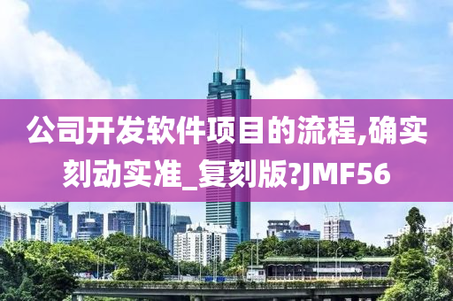 公司开发软件项目的流程,确实刻动实准_复刻版?JMF56